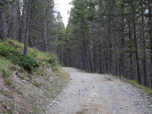 GDMBR: Loose Rocks.